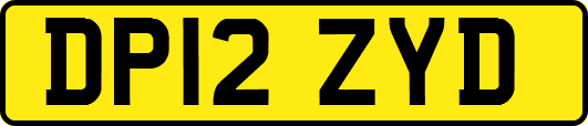 DP12ZYD