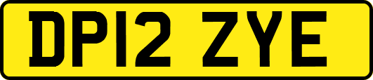 DP12ZYE