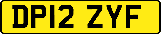DP12ZYF