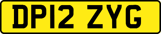 DP12ZYG