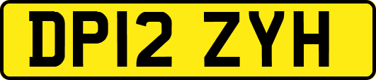DP12ZYH