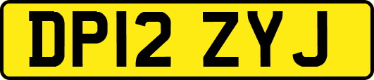 DP12ZYJ