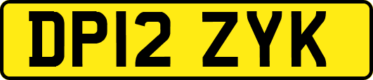 DP12ZYK