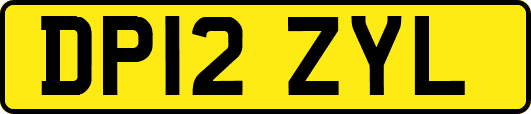 DP12ZYL