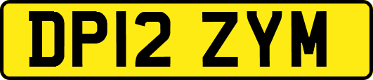 DP12ZYM