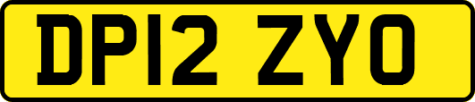 DP12ZYO