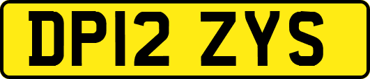 DP12ZYS