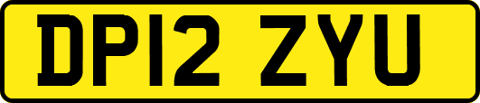 DP12ZYU