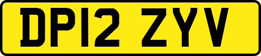 DP12ZYV