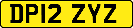 DP12ZYZ