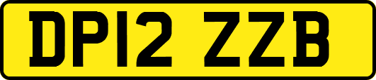 DP12ZZB