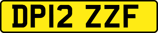 DP12ZZF