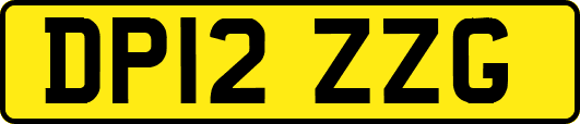 DP12ZZG
