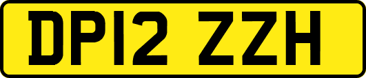 DP12ZZH