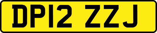 DP12ZZJ