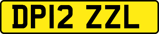 DP12ZZL