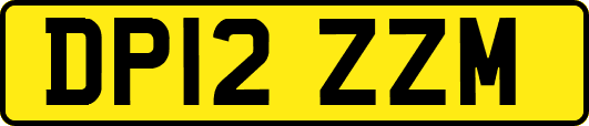 DP12ZZM