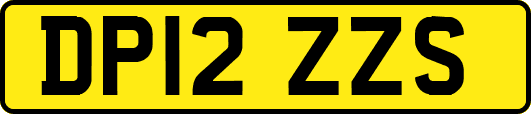 DP12ZZS