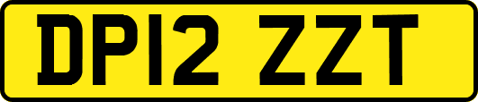 DP12ZZT