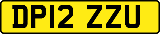 DP12ZZU