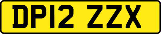 DP12ZZX