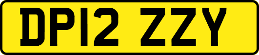 DP12ZZY