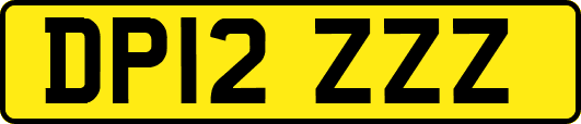 DP12ZZZ