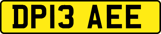 DP13AEE