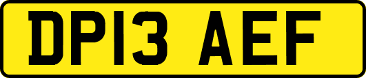 DP13AEF