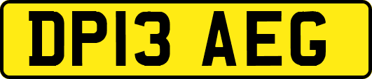 DP13AEG