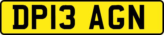 DP13AGN