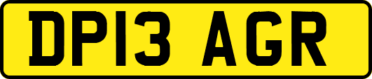 DP13AGR