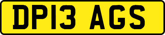 DP13AGS