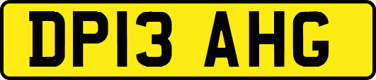 DP13AHG