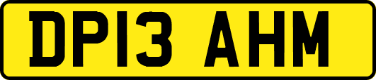 DP13AHM
