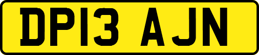 DP13AJN