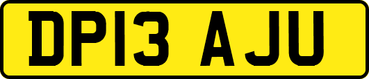 DP13AJU
