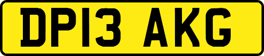 DP13AKG