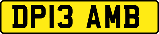DP13AMB