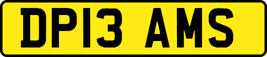 DP13AMS
