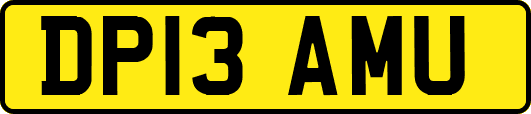 DP13AMU