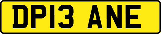 DP13ANE