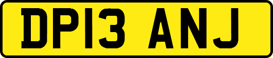 DP13ANJ