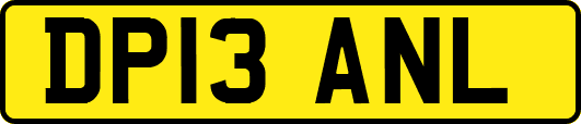DP13ANL