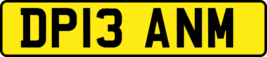 DP13ANM