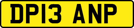 DP13ANP