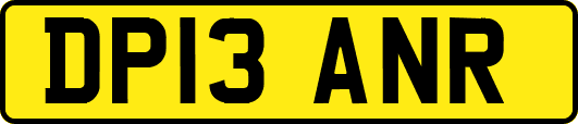 DP13ANR
