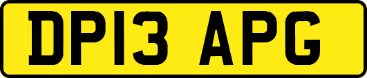 DP13APG