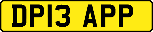 DP13APP