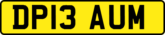 DP13AUM
